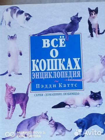 Большая энциклопедия Большая энциклопедия