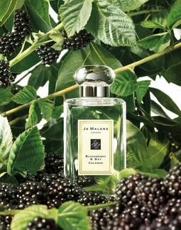 Jo Malone Blackberry & Bay