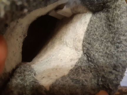 Сапоги для мальчика 24 р