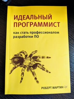 Идеальный программист. Мартин Роберт