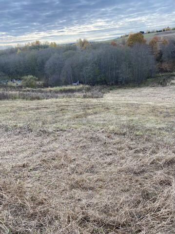 Участок 100 сот. (СНТ, ДНП)