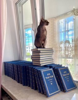 Полное собрание сочинений Л. Н. Толстого в 91 тома