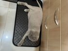 Стрижка кошек с выездом на дом грумер объявление продам