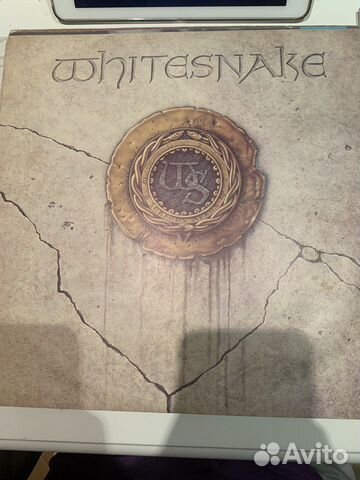Виниловая пластинка white snake