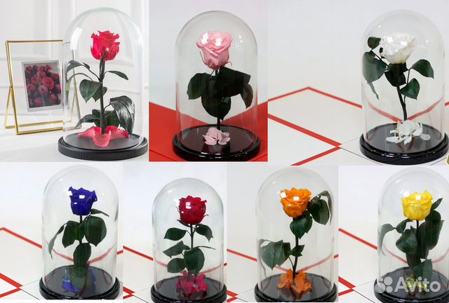 Вечная роза в колбе