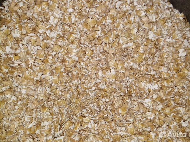 Зерносмесь