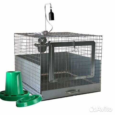 Брудер для цыплят. Эконом