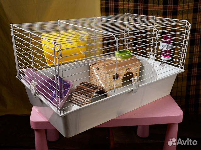 Клетка для морской свинки морских свинок еж кролик