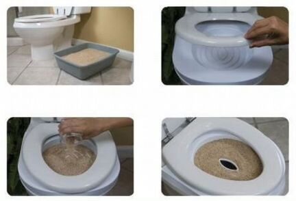 Система приучения к туалету