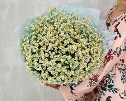 Букеты из ромашек Цветы Доставка