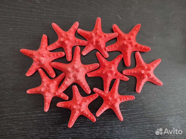 Морская звезда