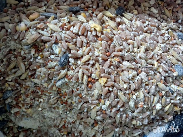Кормосмесь для кур,уток,гусей,индюков,бройлеров