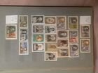 Почтовые марки 