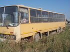 Городской автобус Ikarus 260, 1990