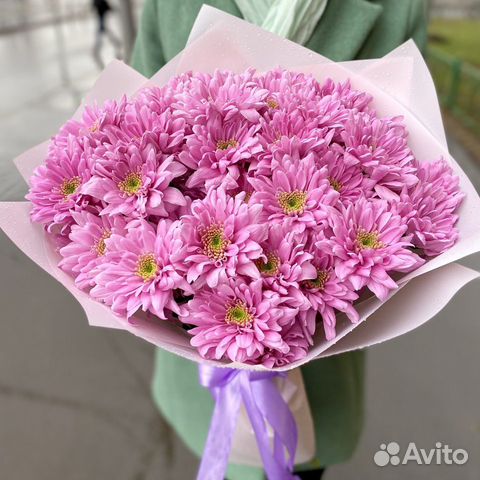 Хризантема розовая