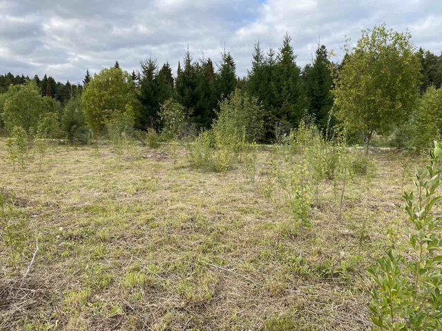 Участок 11,6 сот. (ИЖС)