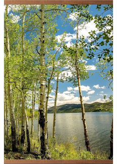 Инфракрасный обогреватель настенный