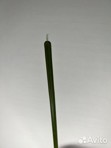 Свечи зеленные #40