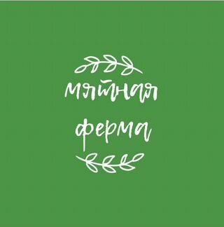 Мята 150 сортов новинки