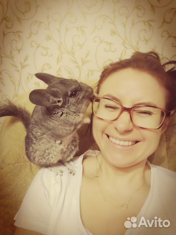 Передержка домашних животных