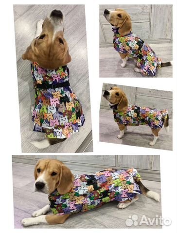 Комбинезон для бигля