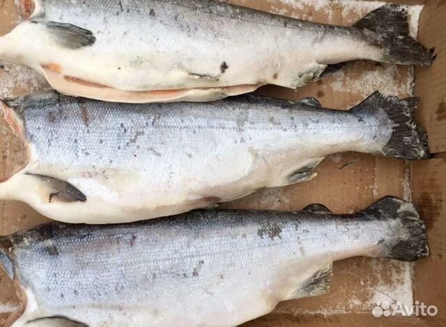 Свежемороженая нерка, кижуч, кета, горбуша, чавыча
