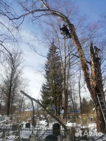 Спиливание деревьев