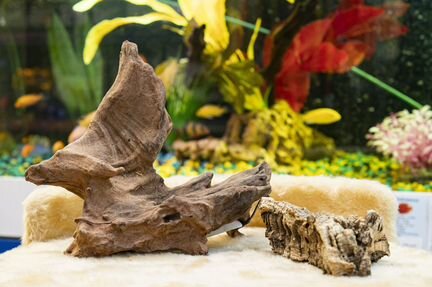 Декор для аквариума и террариума