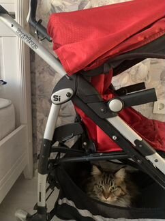 Коляска peg perego si