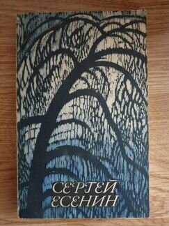 Стихотворения и поэмы. С. Есенин