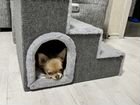 Лежанка домик лестница для кошек и собак