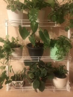 Стойка для цветов наклонная (3 яруса), ширина 60см