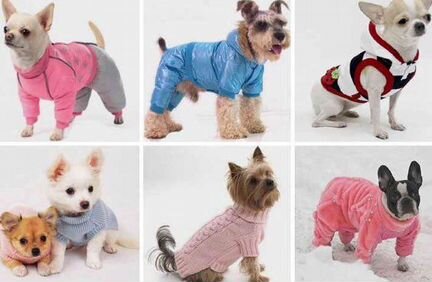 Одежда для собак оптом