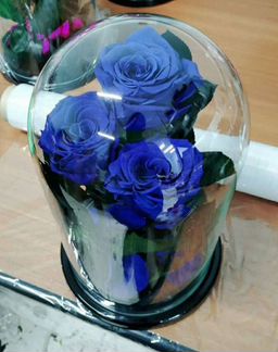 Роза в колбе trio 33см