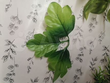 Лист тройной. Хризантемы