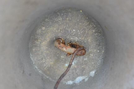 Колокольчик поддужный