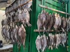 Продается рыба сушено вяленая