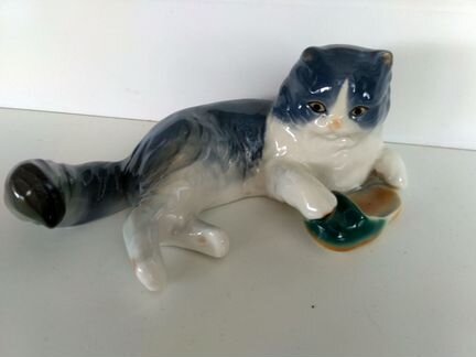 Кот Гебель редкий