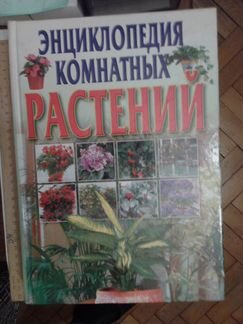 Энциклопедия комнатных растений