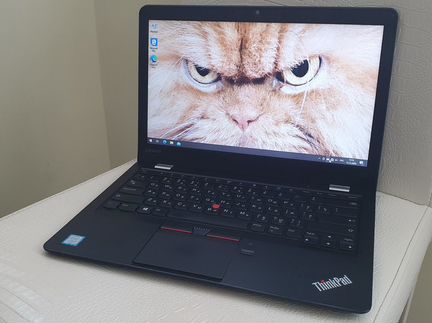 Просто зверь какой-то