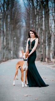 Платье в аренду Magic Night Gold