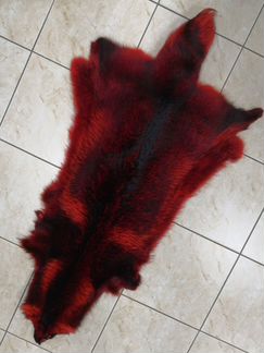 Енот финский крашеный