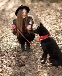 Выгул собак