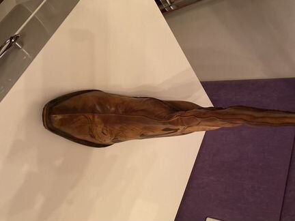 Сапоги женские Baldinini