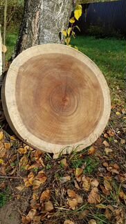 Торцевой спил 