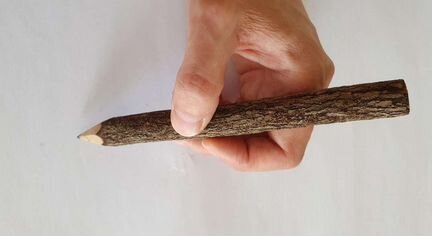 Карандаш, вросший в дерево