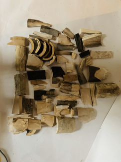 Бивень мамонта