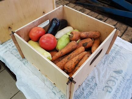 Деревянный лоток коробка Л3-253