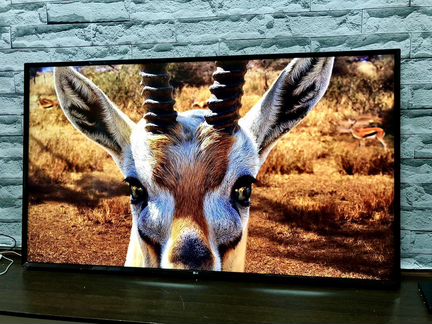 Premium LG 65 4K UHD HDR 10