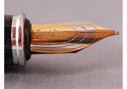 Перьевая ручка bookworm 675